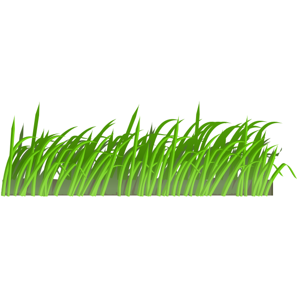 Grass Texture PNG Picture