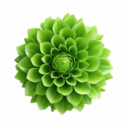 Green Flower PNG Clipart