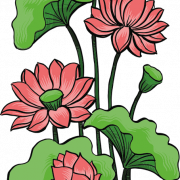 Green Flower PNG Free Image