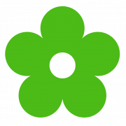 Green Flower PNG Image