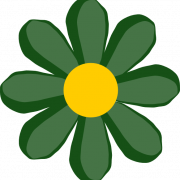 Green Flower PNG Photo