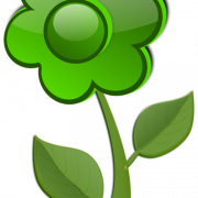 Green Flower PNG Pic
