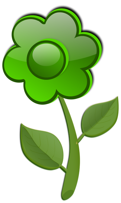 Green Flower PNG Pic