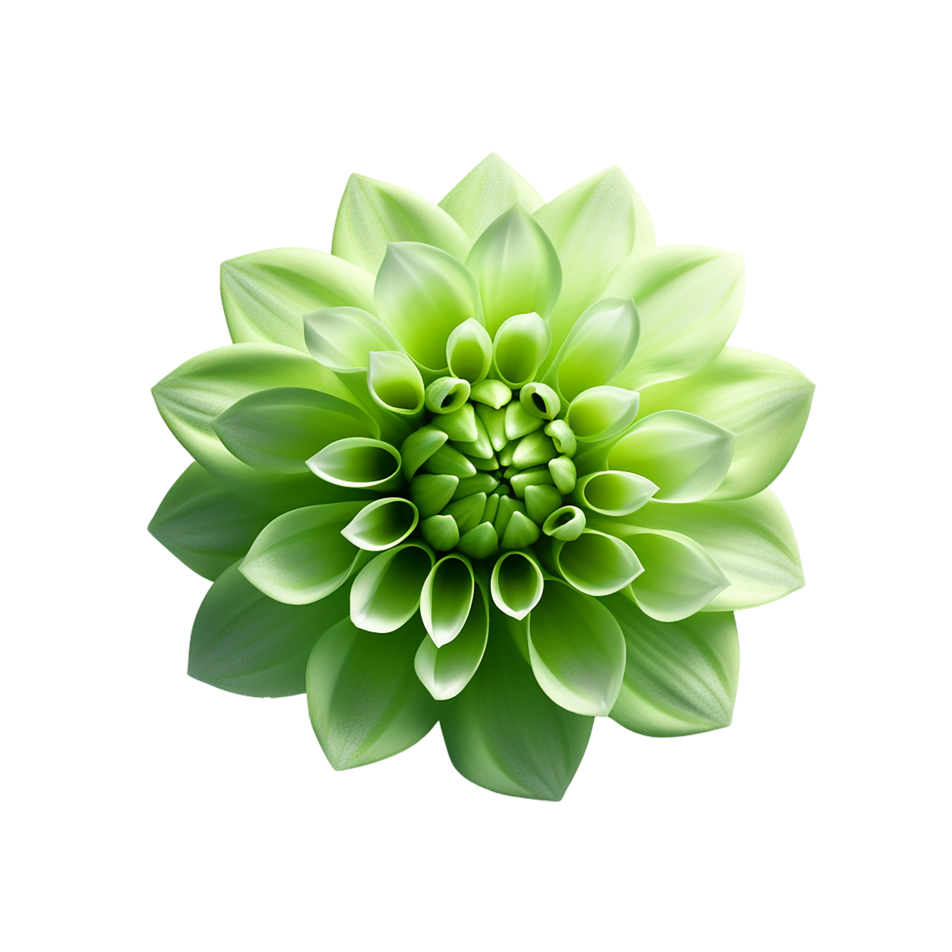 Green Flower Transparent