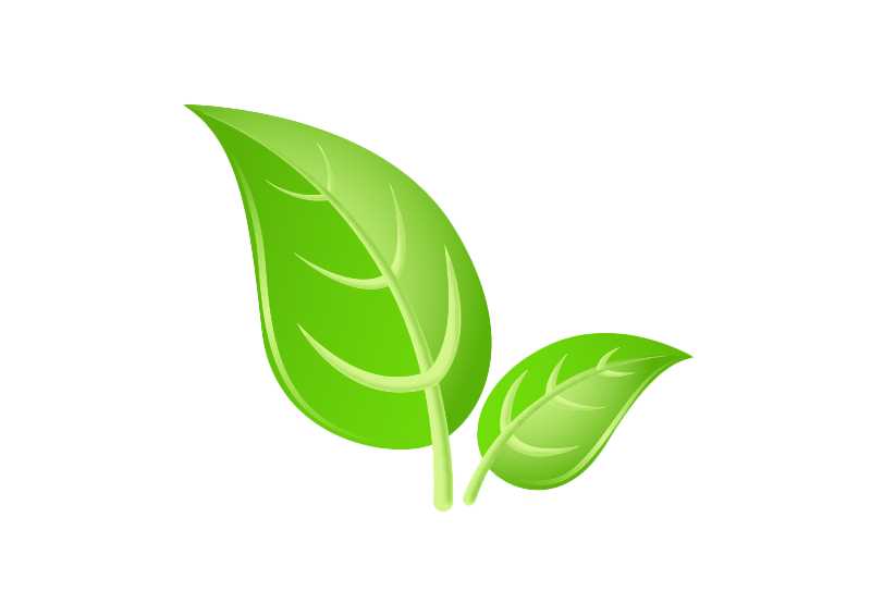 Green Leaf PNG Background