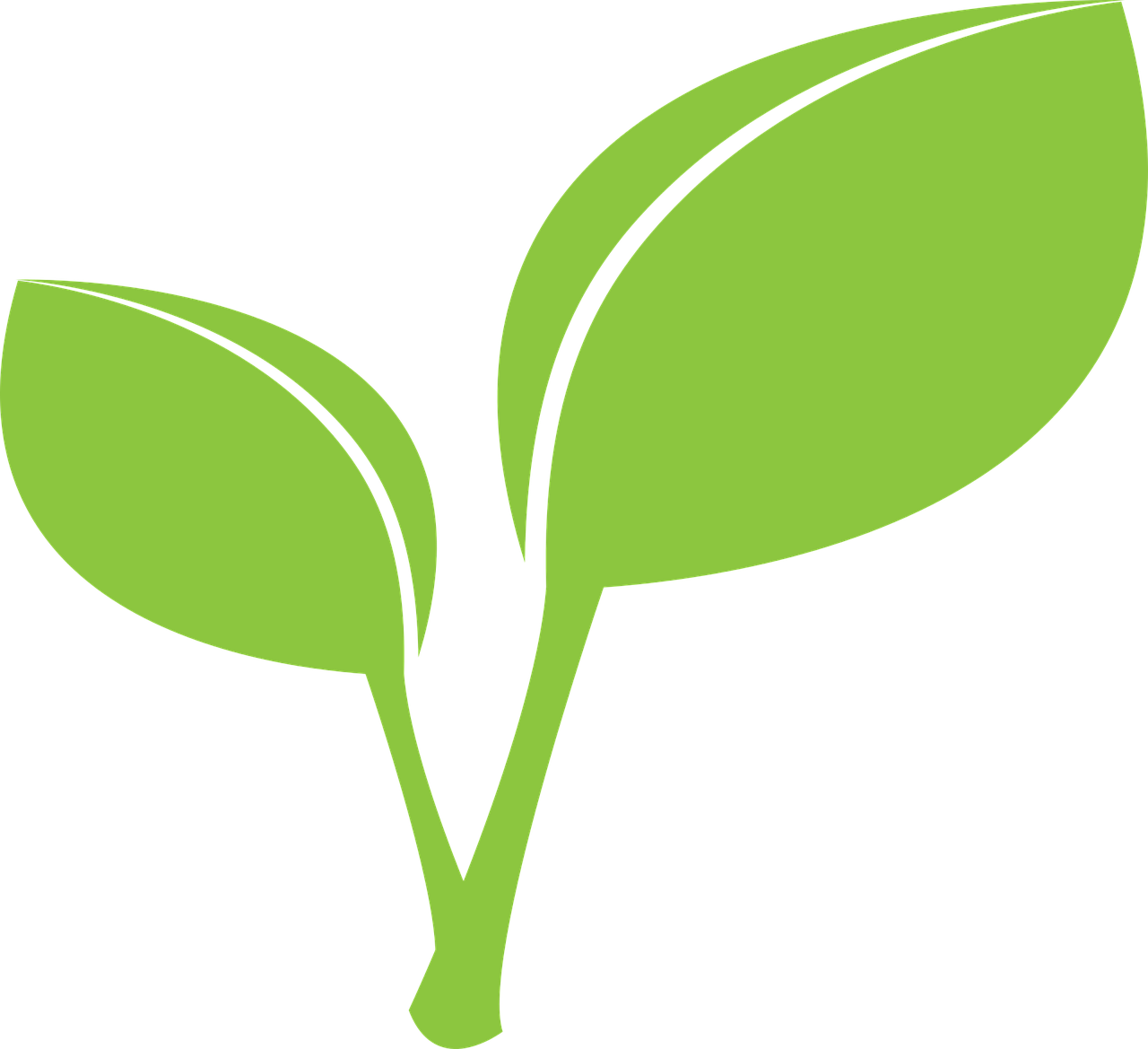 Green Leaf PNG Cutout
