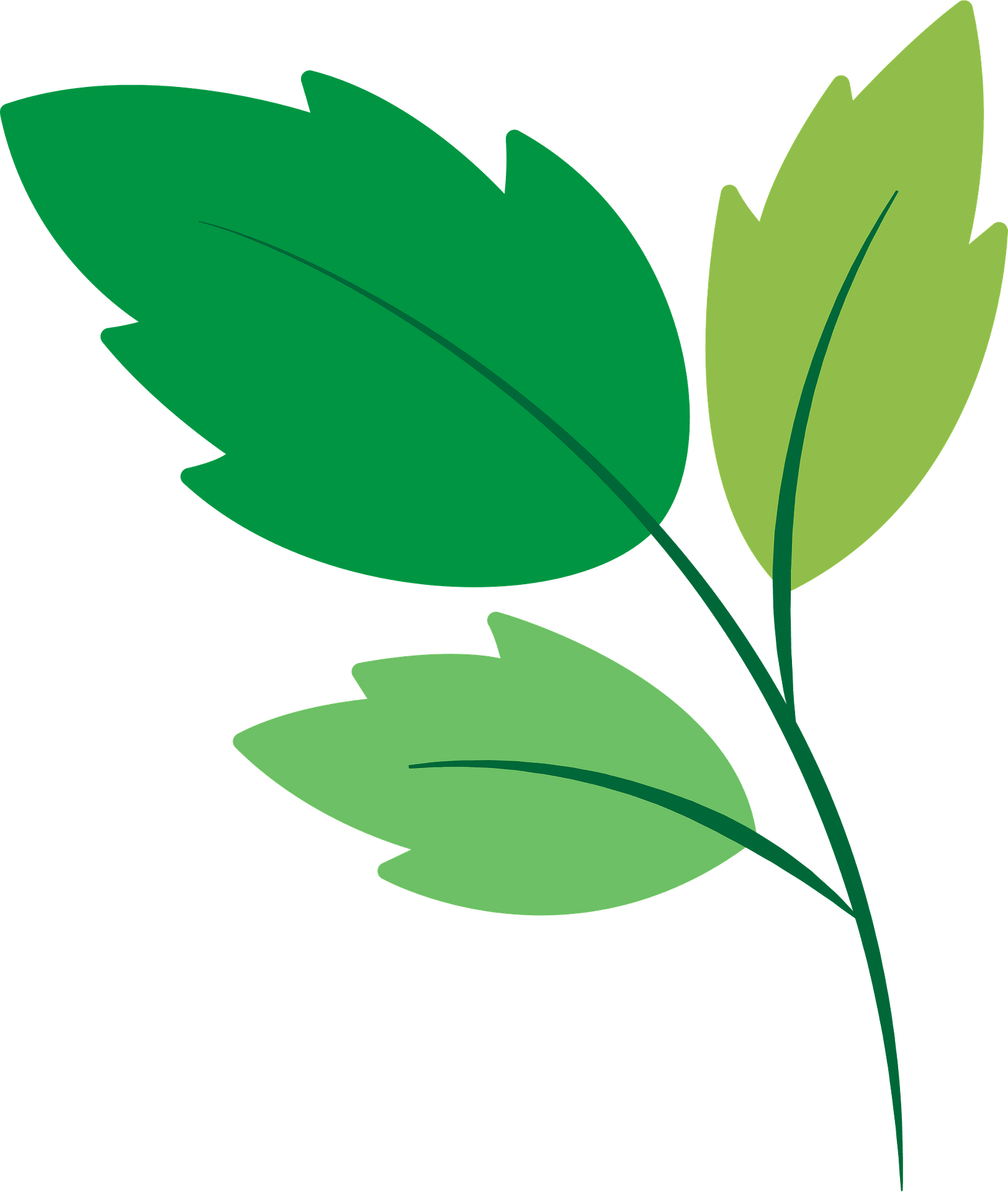 Green Leaf PNG Transparent Images - PNG All, Green Leaf 