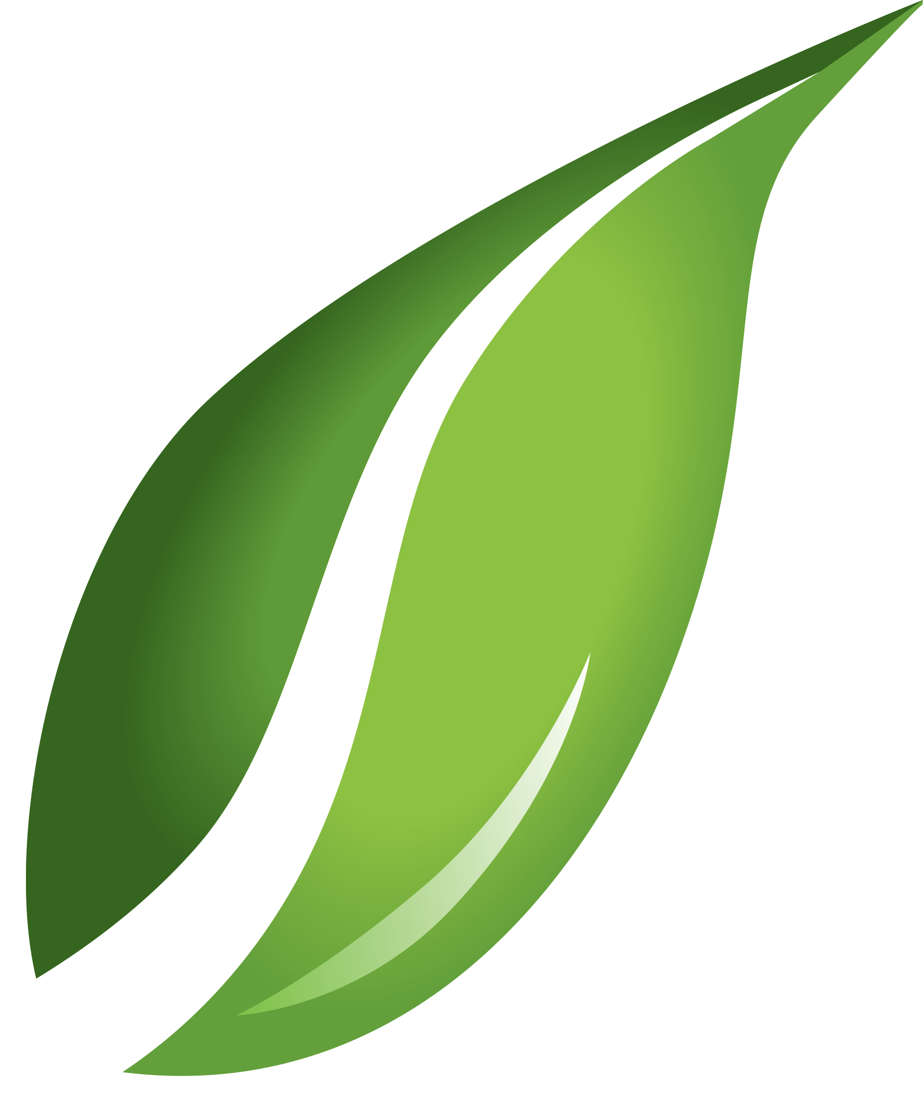 Green Leaf Transparent