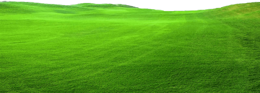Ground Background PNG