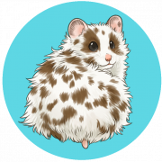 Hamster PNG Background
