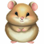 Hamster PNG HD Image