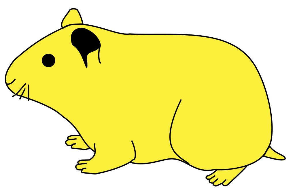 Hamster PNG Photos