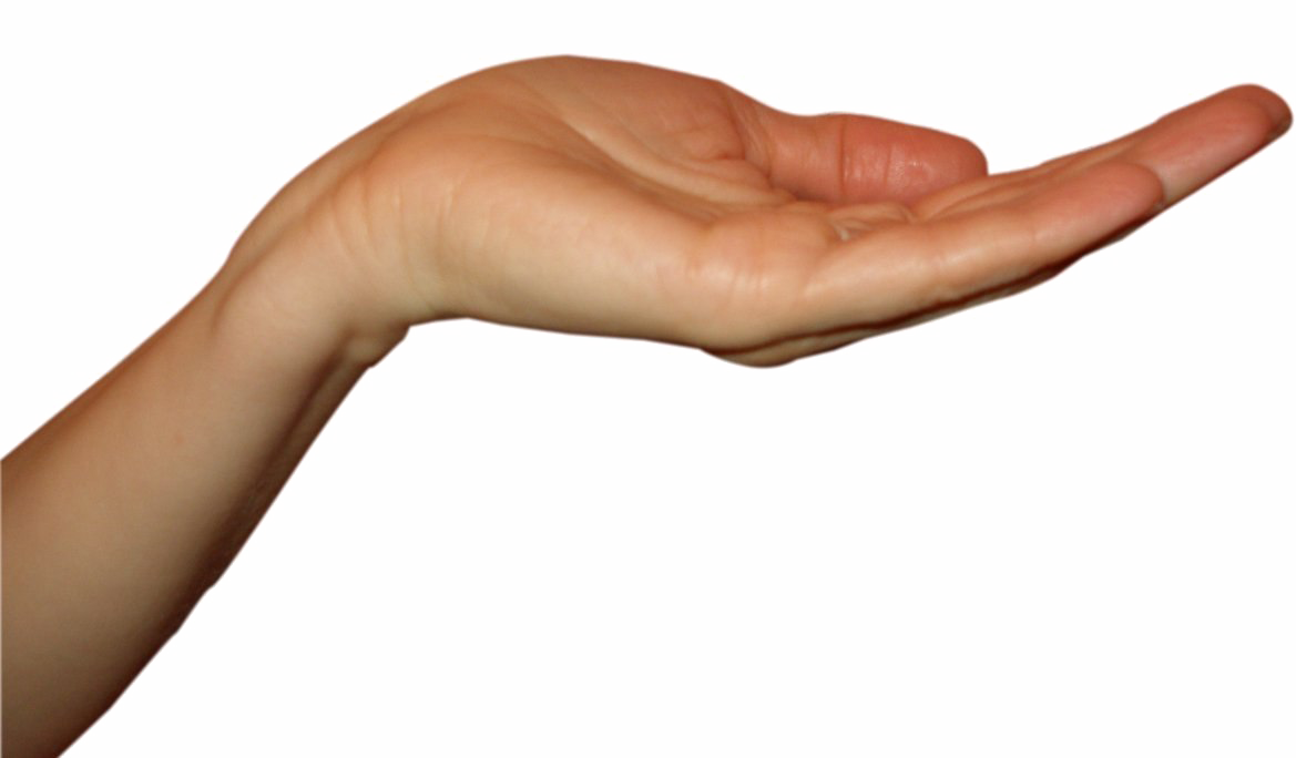 Hand Hold PNG Background