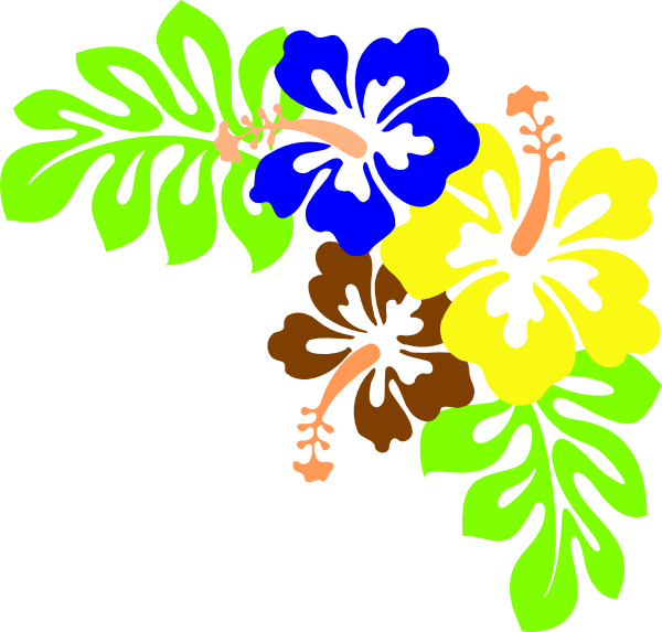 Hawaii Flower Background PNG