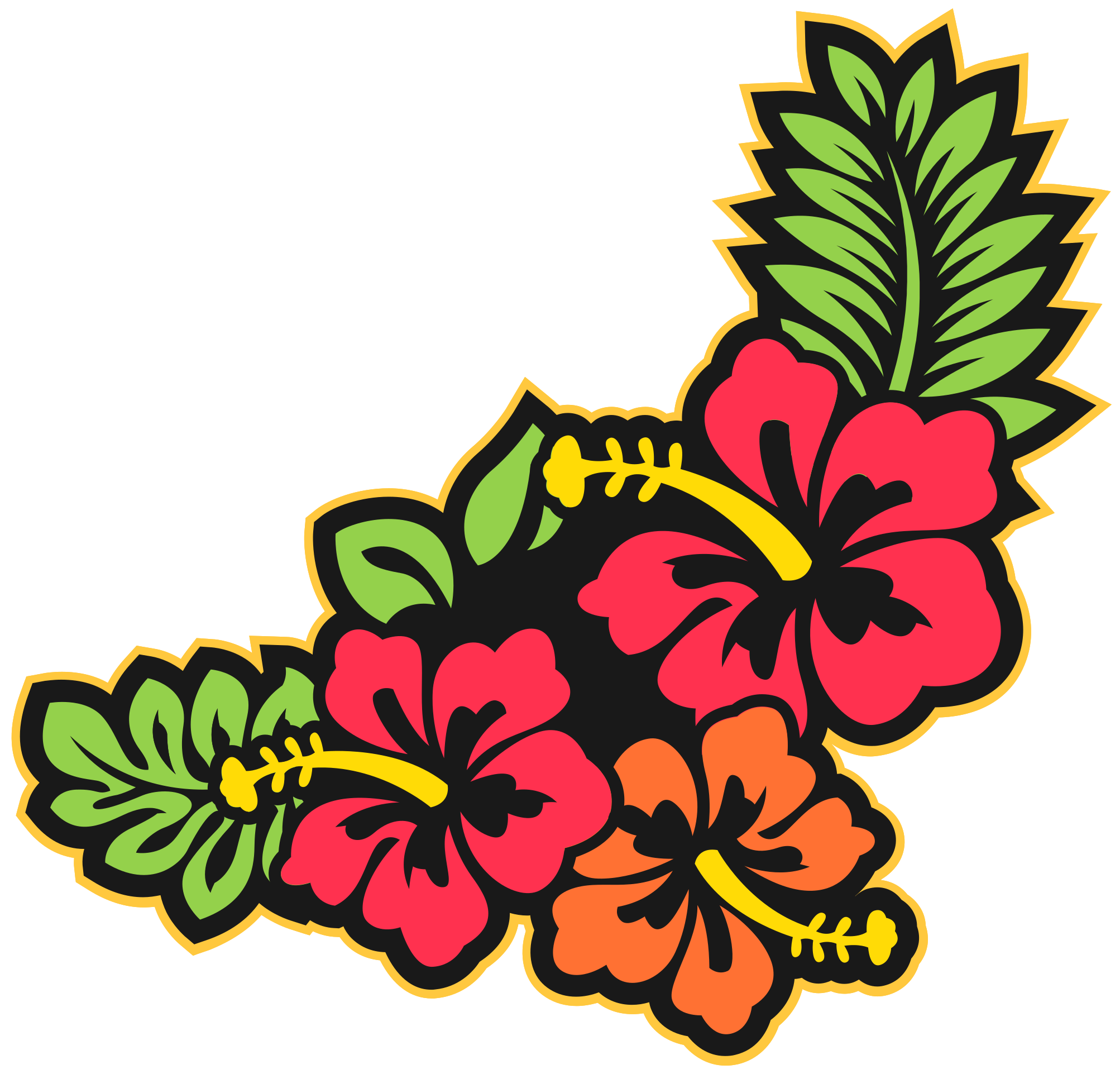 Hawaii Flower PNG Cutout