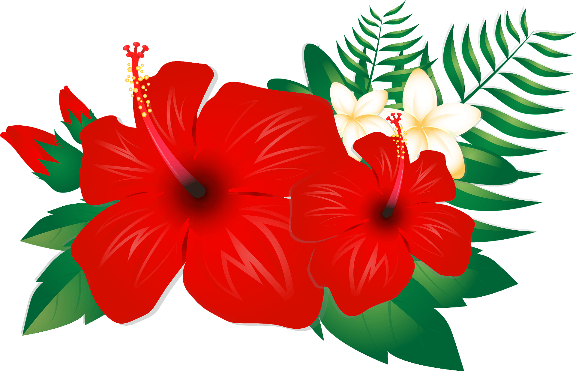 Hawaii Flower PNG Free Image