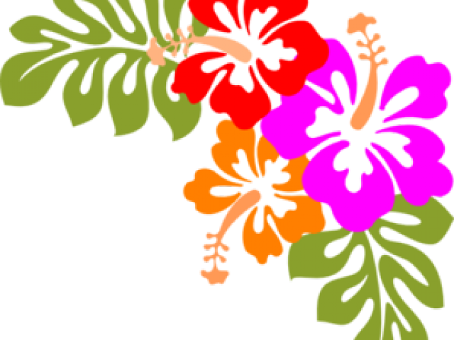 Hawaii Flower PNG Images HD