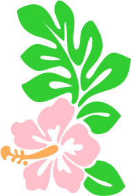 Hawaii Flower PNG Pic