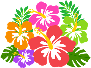 Hawaii Flower PNG