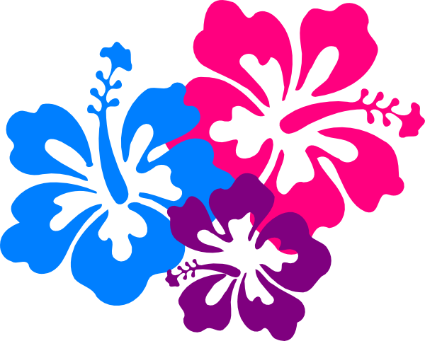Hawaii Flower Transparent