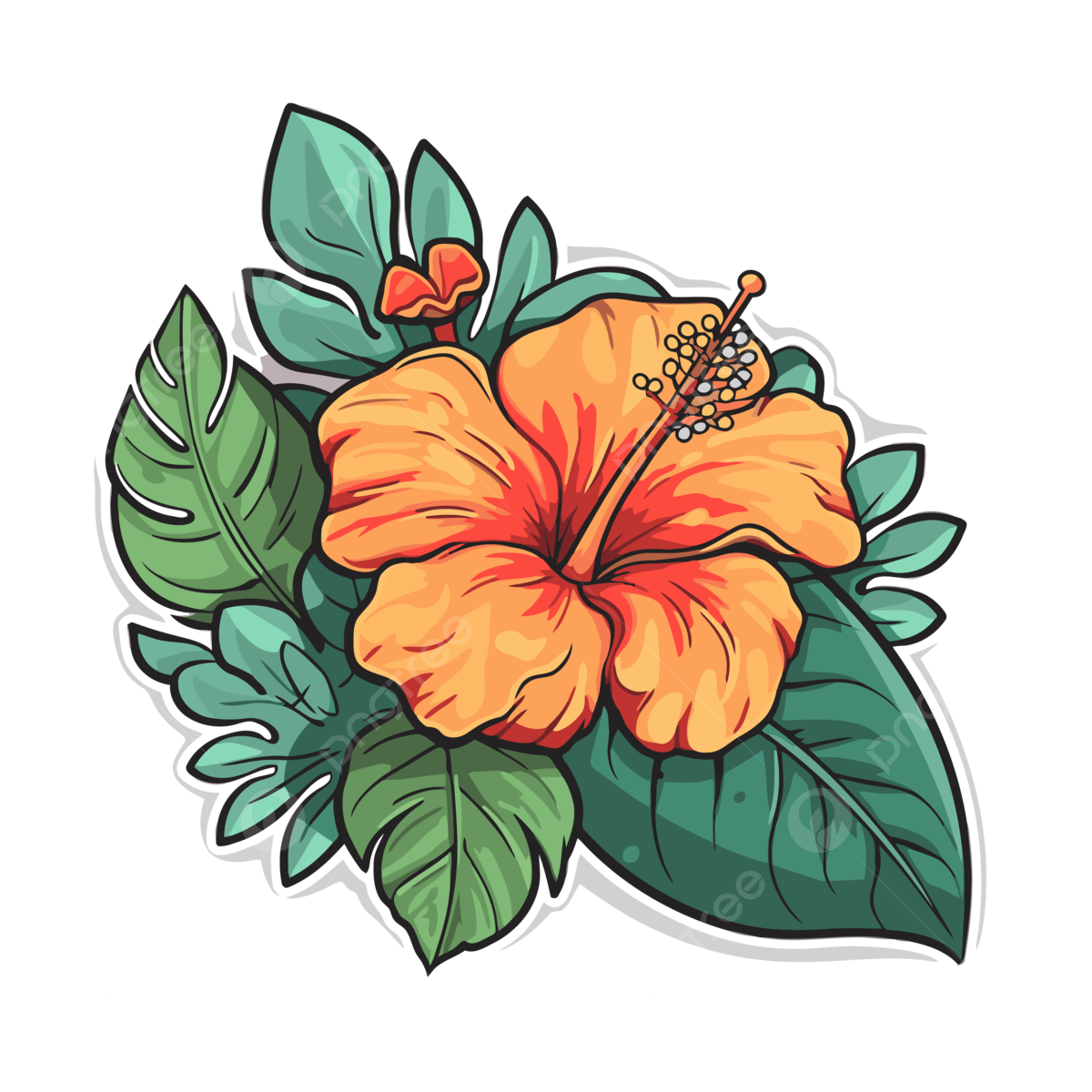 Hawaiian Flowers Background PNG