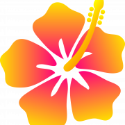 Hawaiian Flowers PNG Background