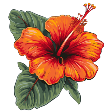Hawaiian Flowers PNG Cutout