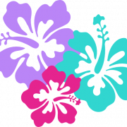 Hawaiian Flowers PNG File