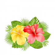 Hawaiian Flowers PNG HD Image