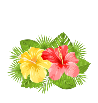 Hawaiian Flowers PNG HD Image