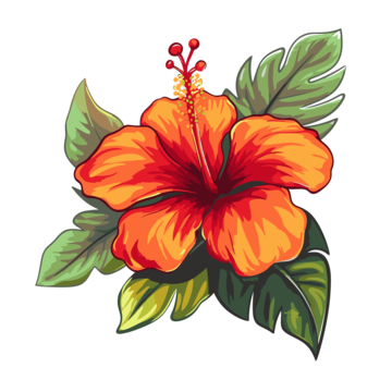 Hawaiian Flowers PNG Image HD