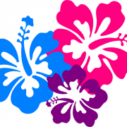 Hawaiian Flowers PNG Images
