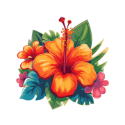 Hawaiian Flowers PNG Photo