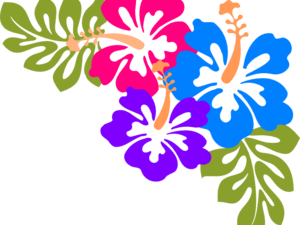 Hawaiian Flowers PNG Pic