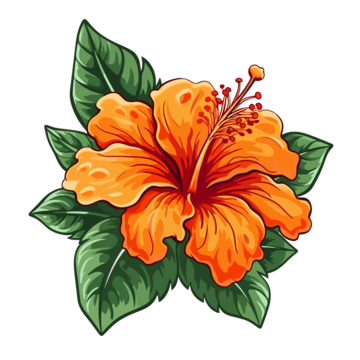 Hawaiian Flowers PNG Picture