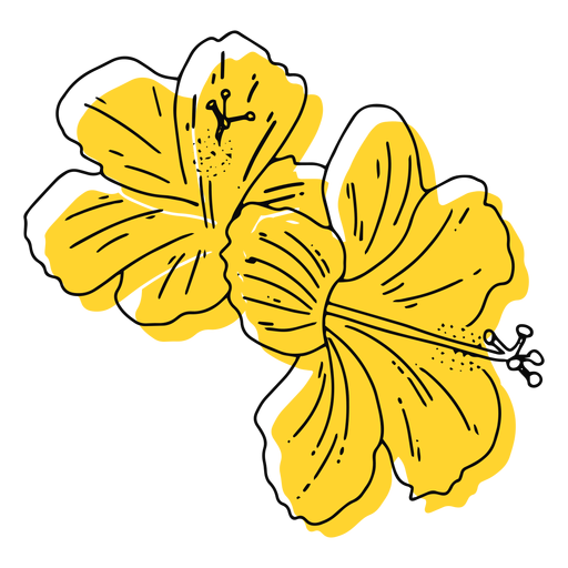 Hawaiian Flowers Transparent