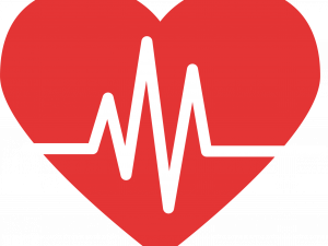 Heart Beat PNG Photo