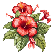 Hibiscus Flower PNG Cutout