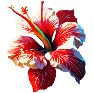 Hibiscus Flower PNG Pic