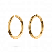 Hoop Earrings PNG Free Image