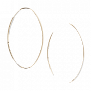 Hoop Earrings PNG Picture