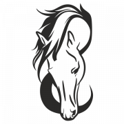 Horse Head Background PNG