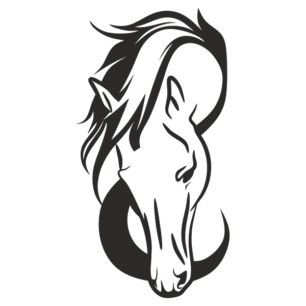 Horse Head Background PNG
