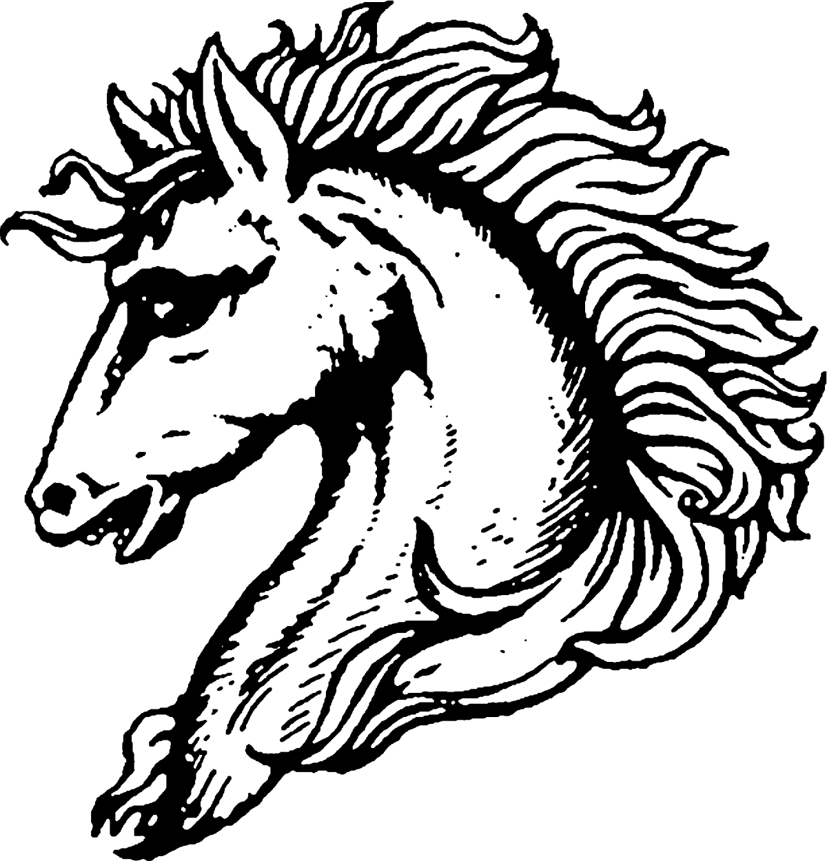 Horse Head PNG File