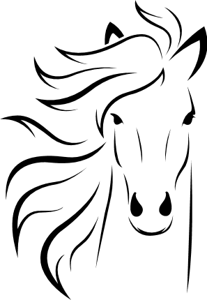 Horse Head PNG HD Image