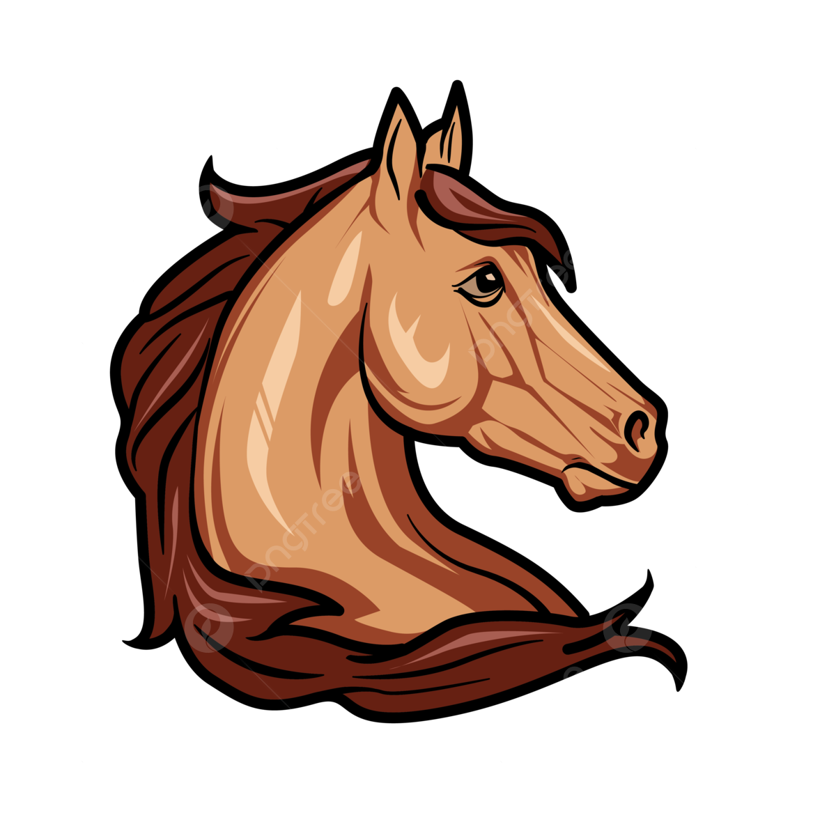 Horse Head PNG Images HD