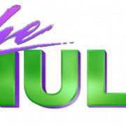 Hulk Logo PNG Image HD