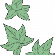 Ivy Background PNG