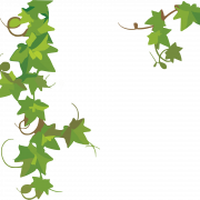Ivy PNG File
