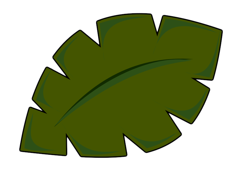 Jungle Leaf PNG Cutout